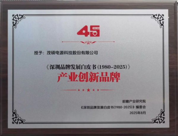 深中通谈照明工程成标杆，茂硕电源荣膺深圳产业改进品牌